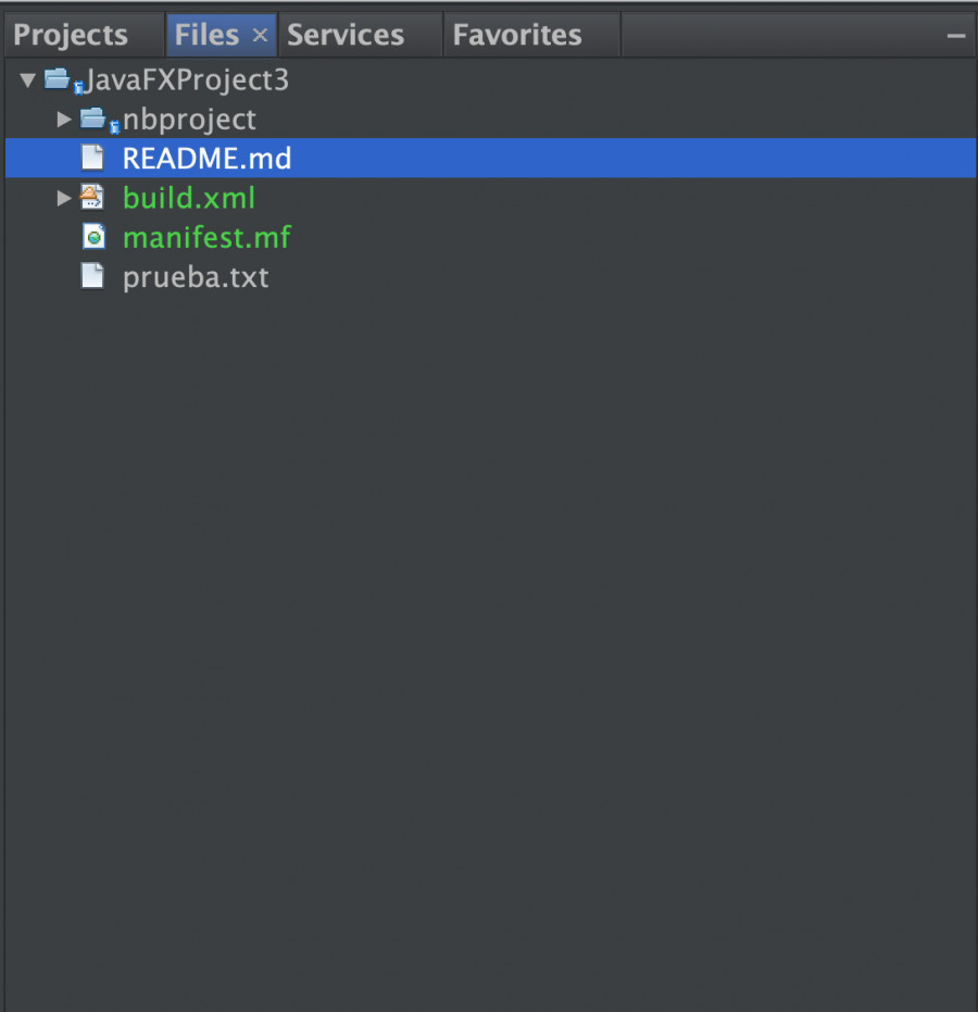 Ficheros del proyecto en NetBeans