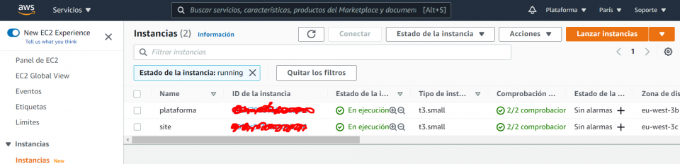 Paso 9 Instancias en ejecución